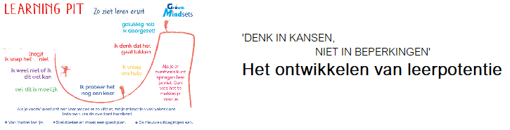 Het ontwikkelen van leerpotentie