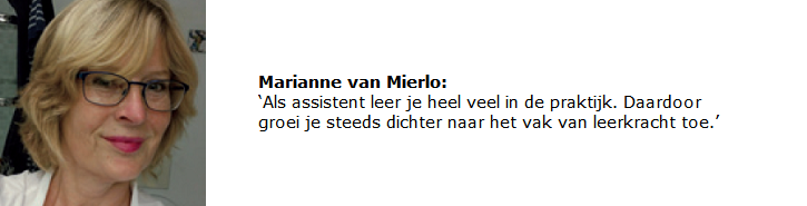 De rol van onderwijsassistent